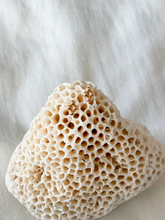 Carregar imagem no visualizador da galeria, Brinco Belaton – Ouro 18k