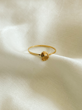 Carregar imagem no visualizador da galeria, Conjunto Nautilus em Ouro 18k