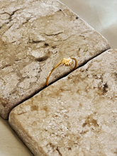 Carregar imagem no visualizador da galeria, Conjunto Scallop em Ouro 18k