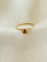 Carregar imagem no visualizador da galeria, Conjunto Scallop em Ouro 18k