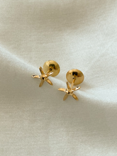 Carregar imagem no visualizador da galeria, Conjunto Asteroidea em Ouro 18k