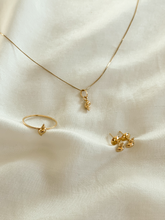 Carregar imagem no visualizador da galeria, Conjunto Tritonis em Ouro 18k