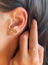 Carregar imagem no visualizador da galeria, Anel Nautilus - Ouro18k