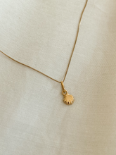 Carregar imagem no visualizador da galeria, Conjunto Scallop em Ouro 18k