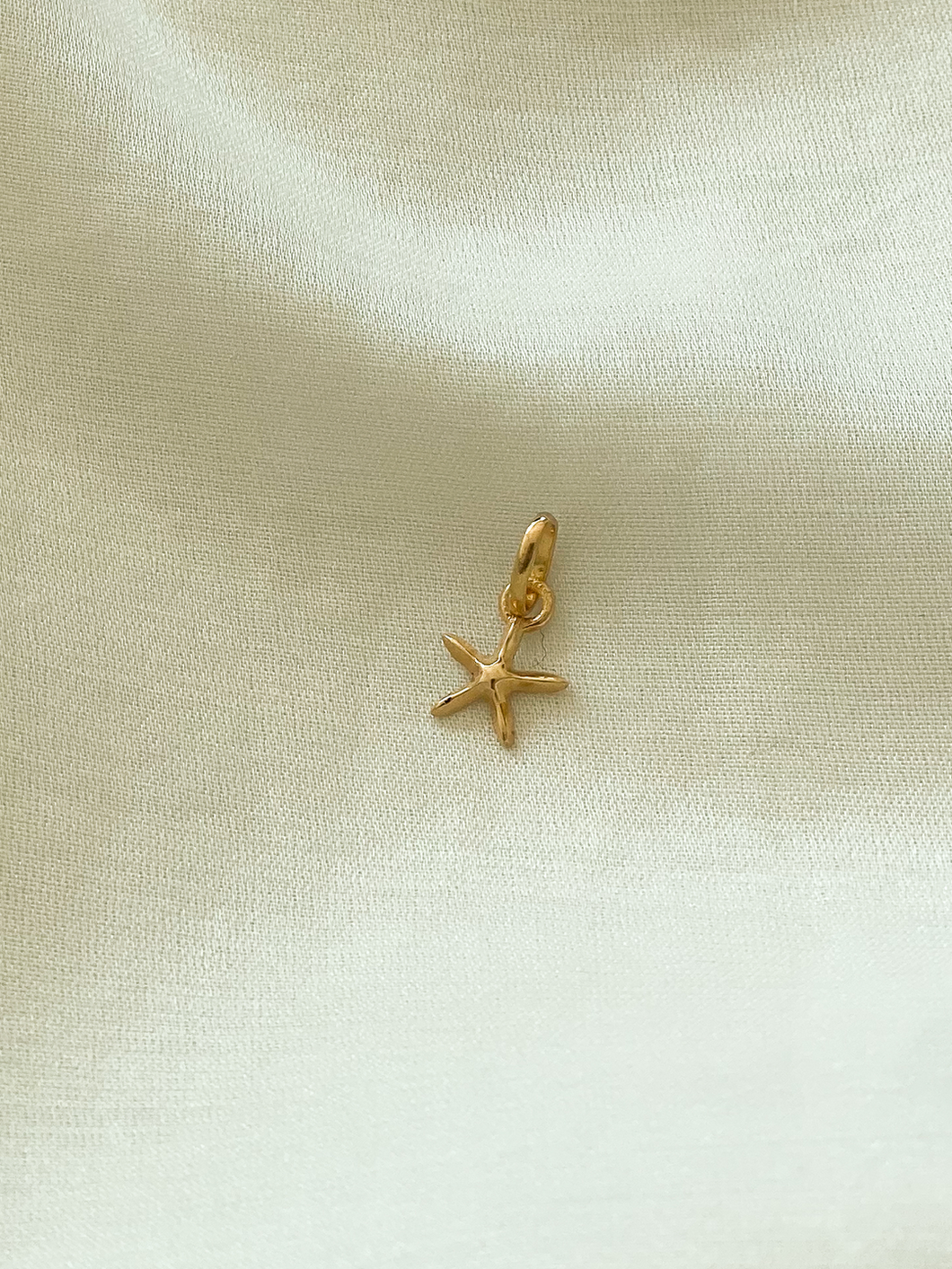 Pingente Asteroidea em Ouro 18k