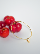 Carregar imagem no visualizador da galeria, Pulseira Roma Aro Ouro 18k

